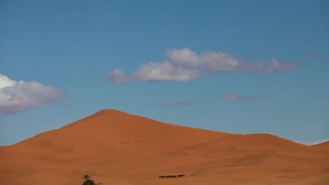 Merzouga-Wüste-15