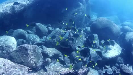 Mexico-Diving-0-20