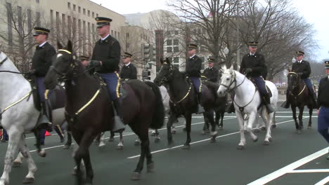US-Veteranen-Und-Militärangehörige-Gehen-In-Einer-Parade-In-Washington-DC-3