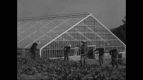 Farming-And-Farm-Labor-In-America-In-1918
