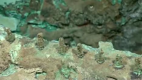 Noaa-Explores-A-Shipwreck-Discovered-Off-The-Gulf-Of-Mexico-2012