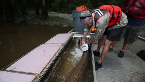 Arbeiter-Scannt-Schwanz-Eines-Golfstörs-(Acipenser-Oxyrinchus-Desotoi)-Und-Bringt-Das-Gefährdete-Tier-Zurück-Ins-Wasser-2018