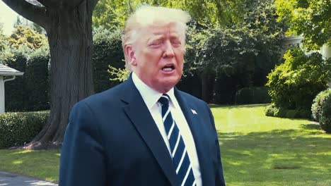 President-Trump-Speaks-About-The-Close-Alliance-With-The-Uk-2019