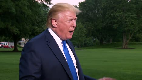President-Trump-Says-Ice-Is-Taking-Out-Illegal-Immigrants-As-Fast-As-They-Come-In-Democrats-Are-Preventing-Immigration-Laws-2019