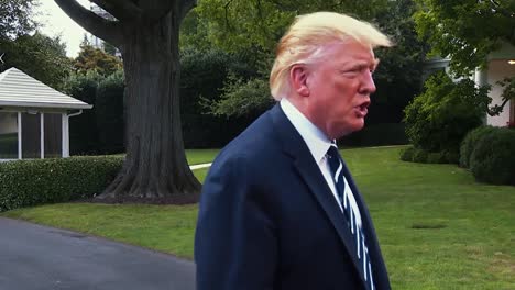 President-Trump-Tells-A-Reporter-That-She-Is-Fake-News-2019