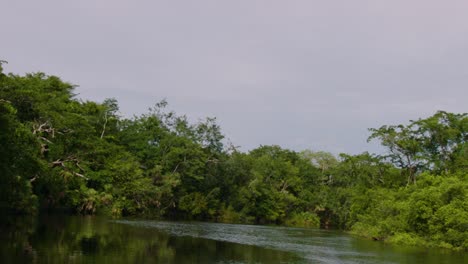 Die-Kamera-Bewegt-Sich-Einen-Fluss-Hinunter,-Der-An-Den-Lamanai-Maya-Ruinen-Von-Belize-Vorbeiführt-1