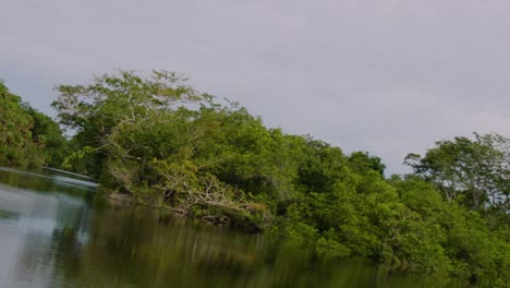 Die-Kamera-Bewegt-Sich-Einen-Fluss-Hinunter,-Der-An-Den-Lamanai-Maya-Ruinen-Von-Belize-Vorbeiführt-2