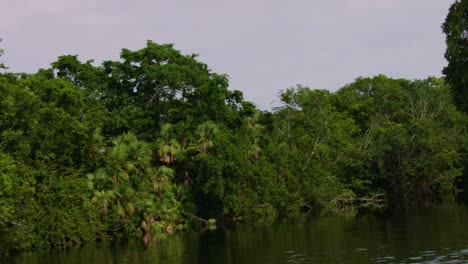 Die-Kamera-Bewegt-Sich-Einen-Fluss-Hinunter,-Der-An-Den-Lamanai-Maya-Ruinen-Von-Belize-Vorbeiführt-3