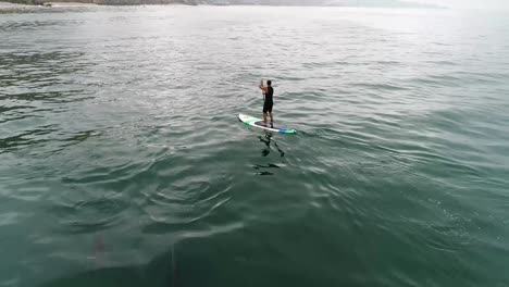 Antenne-über-Delfine,-Die-Mit-Einem-Paddleboarder-Im-Ozean-In-Der-Nähe-Von-Malibu,-Kalifornien,-Schwimmen