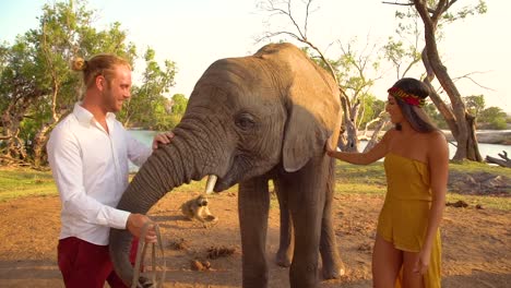 Un-Hombre-Y-Una-Mujer-Turista-Alimentan-A-Un-Elefante-Domesticado-En-Zambia-Africa-Wildlife-Park