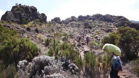 Los-Excursionistas-Y-Excursionistas-Caminan-Por-El-Sendero-A-La-Cumbre-Del-Monte-Kilimanjaro-Tanzania-África