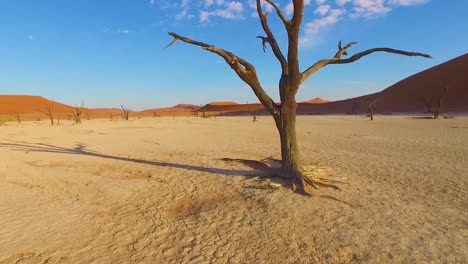 Tiro-En-Movimiento-A-Través-De-Los-árboles-Muertos-Sossusvlei-Y-Dunas-De-Arena-En-Namibia-África-1