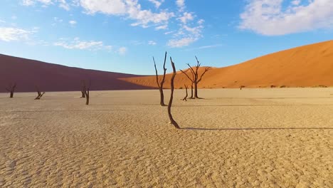 Moving-shot-through-the-Sossusvlei-dead-trees-and-sand-dunes-in-Namibia-Africa-2