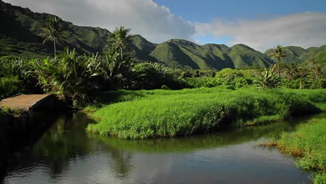 Pan-across-a-Hawaiian-jungle-landscape-with-canyons-and-small-lake