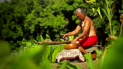 A-Hawaiian-native-prepares-tarot-root-with-his-hands-4