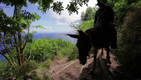 People-ride-horses-along-a-narrow-trail-in-Hawaii-1