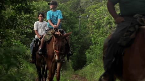 People-ride-horses-along-a-narrow-trail-in-Hawaii-3