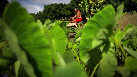 Un-Nativo-Hawaiano-Se-Sienta-En-El-Campo-Haciendo-Poi