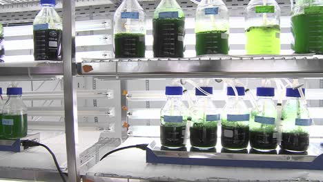 Dolly-Bewegung-Eines-Photobioreaktors-Im-Labormaßstab,-In-Dem-Wir-Flaschen-Mit-Verschiedenen-Arten-Von-Cyanobakterien-Sehen