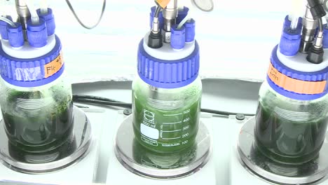 Photobioreaktor-Im-Kleinen-Maßstab-Im-Labormaßstab-Mit-Drei-Verschiedenen-Kolben,-Die-Gerührt-Werden-Und-Kolben-Mit-Sensoren-Verbunden-Sind