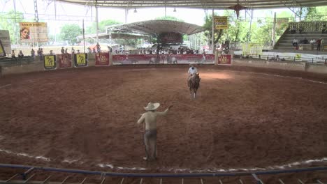 Un-Vaquero-Mexicano-Amarra-Un-Caballo-Con-Una-Cuerda-Y-Luego-Detiene-El-Galope-Del-Caballo