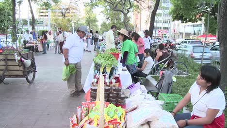 La-Gente-En-Medio-De-Una-Avenida-En-Un-Mercado-Orgánico-Se-Encuentra-Vendiendo-Productos-Ecológicos-En-La-Avenida-Chapultepec,-Guadalajara,-México