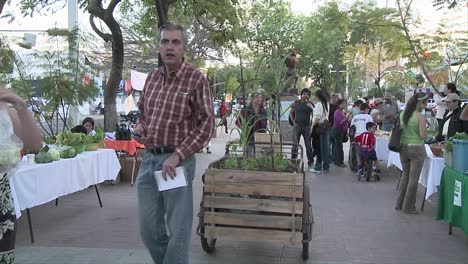 Personas-En-Medio-De-Una-Avenida-En-Un-Mercado-Orgánico-Moviéndose-Alrededor-De-Una-Agricultura-Orgánica.