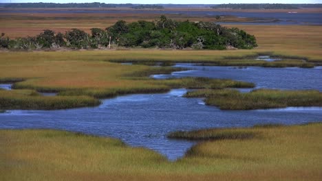 A-salt-marsh-near-St-Augustine-Florida-1
