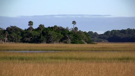A-salt-marsh-near-St-Augustine-Florida-3
