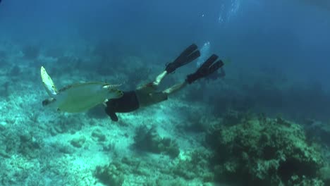 Eine-Meeresschildkröte-Schwimmt-Unter-Wasser-Mit-Taucherhintergrund