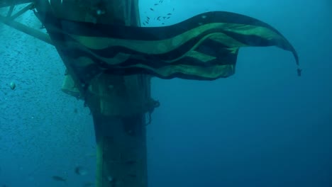 The-USS-Hoyt-Vandenberg-in-Key-West-from-underwater