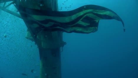 El-Uss-Hoyt-Vandenberg-En-Key-West-Desde-El-Agua