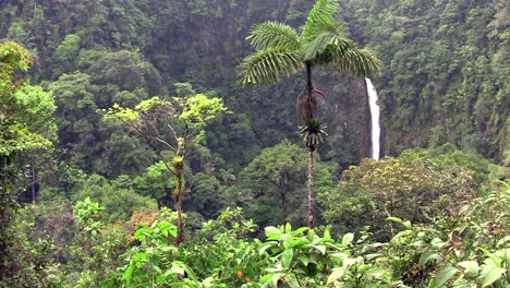 Schöner-Wasserfall-In-Der-Nähe-Von-Fortuna-Costa-Rica