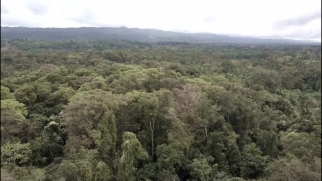 A-beautiful-vista-aérea-over-the-jungles-of-the-Yucatan-in-Mexico-1