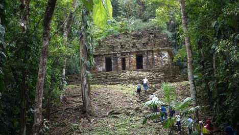 Establishing-shot-of-the-Mayan-Temple-at-Yaxchilian