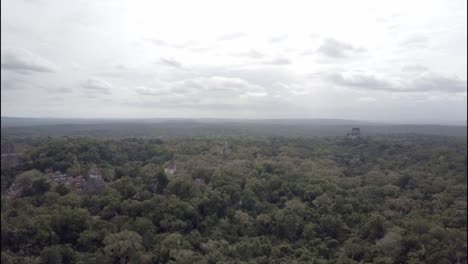 Una-Antena-Sobre-Las-Ruinas-Del-Templo-De-Tikal,-México.