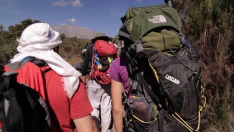 Trekkers-headed-down-the-trail-towards-Kilimanjaro