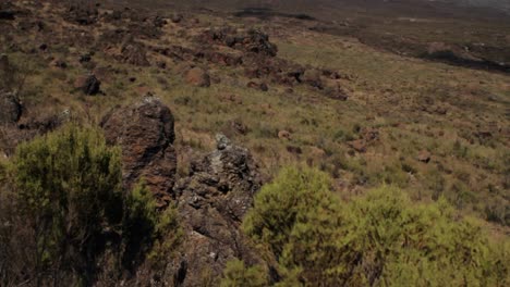 Tilt-up-to-Kilimanjaro-from-plain