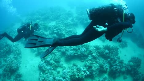 Buzos-Nadan-Alrededor-De-Los-Arrecifes-De-Coral-1