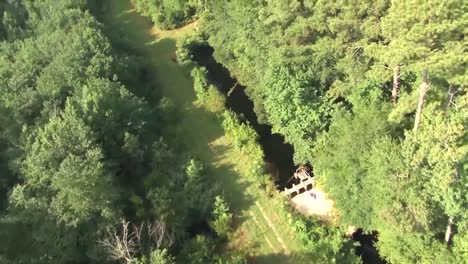 Aerials-Over-The-Great-Dismal-Swamp-National-Wildlife-Refuge-In-Virginia