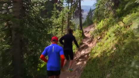 Jogger,-Die-Am-Frühen-Morgen-Durch-Ein-Wildnisgebiet-Joggen-1