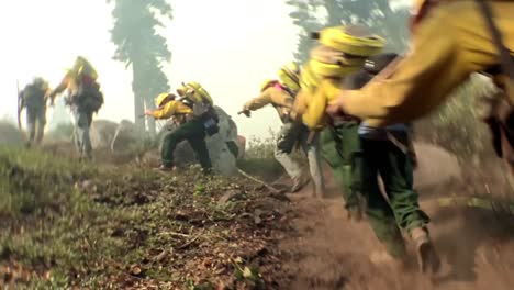 Schnelle-Montage-Von-Feuerwehrleuten,-Die-Waldbrände-Bekämpfen