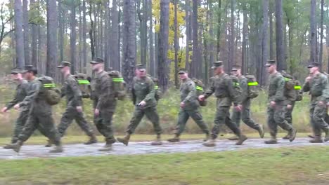 Soldaten-Marschieren-Durch-Ein-Waldgebiet-Auf-Übung
