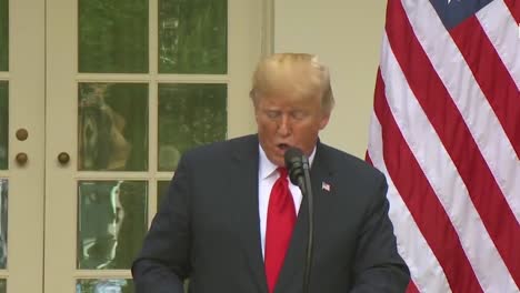 US-Präsident-Donald-Trump-Bei-Einer-Gemeinsamen-Pressekonferenz-Mit-Der-Europäischen-Kommission-Jeanclaude-Juncker-Im-Weißen-Haus-über-Handelspolitik