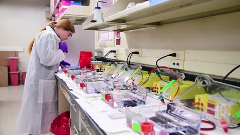 Researchers-In-A-Dna-Crime-Lab-Laboratory-Collect-And-Analyze-Samples-During-A-Criminal-Investigation-1