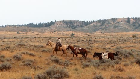 Los-Hombres-Montan-A-Caballo-En-El-Refugio-Nacional-De-Vida-Silvestre-Charles-M.-Russell-En-Otros-Lugares-De-La-Reserva,-Los-Bomberos-Limpian-Un-Bosque