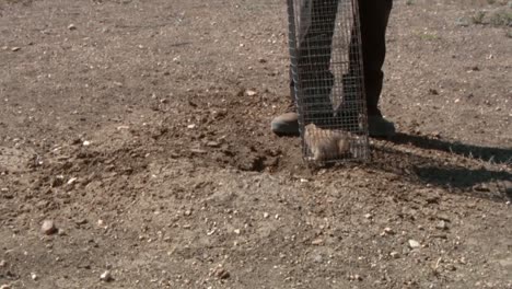 A-Park-Ranger-At-The-Charles-M-Russell-National-Wildlife-Refuge-Releases-A-Caught-Prairie-Dog-Another-Ranger-Checks-A-Couple'S-Fishing-License