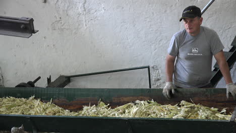 Arbeiter-Einer-Zuckerrohrmühle-In-Madeira