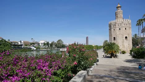 Seville-Flowers-Guadalquivir-Río-And-Torre-Del-Oro