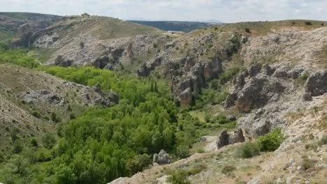 Spanien-Canyon-Des-Rio-Dulce-Mit-Bäumen-In-Der-Nähe-Von-Siguenza